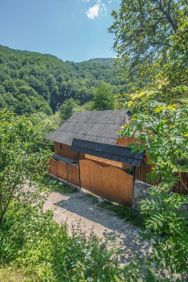 Садиба Над Потоком Lumshory Exterior photo